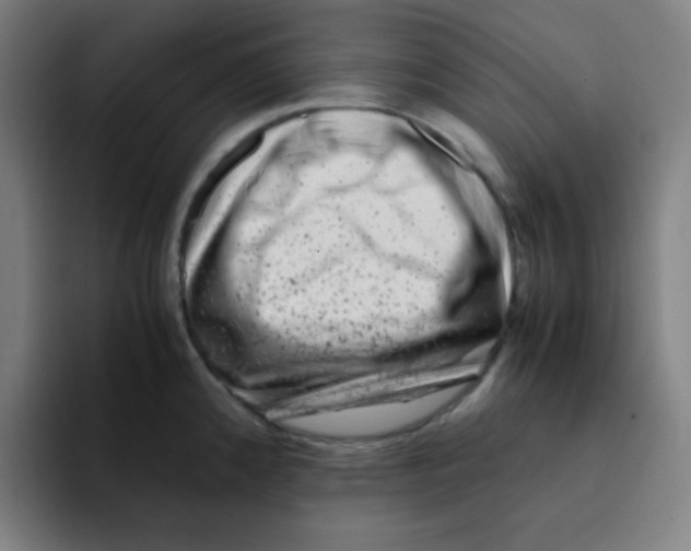 X0000094931192200712271546