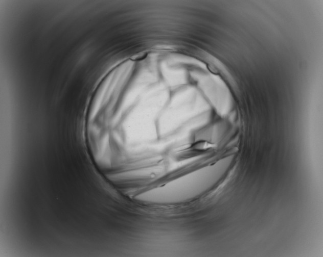 X0000094931194200712271546