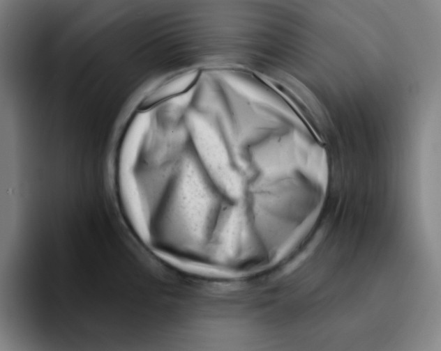 X0000094931196200712271546