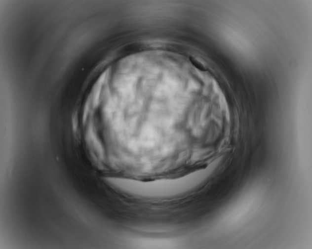 X0000094931198200712271546