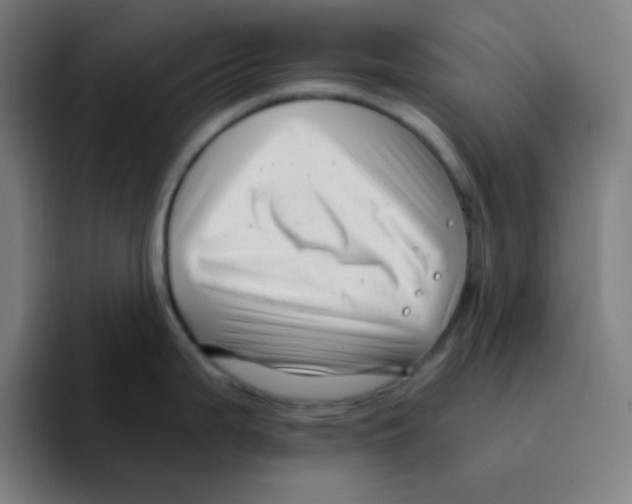 X0000094931199200712271546