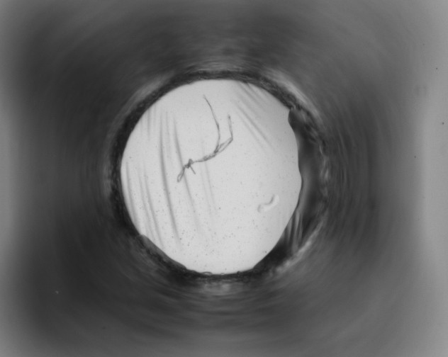 X0000094931213200712271546