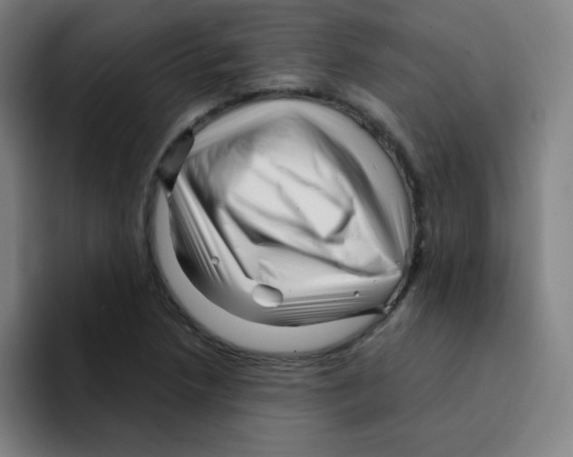 X0000094931218200712271546