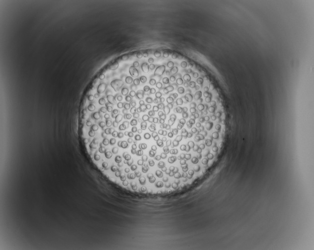X0000094931220200712271546
