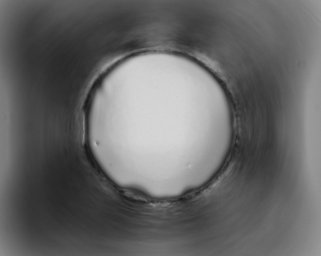 X0000094931223200712271546