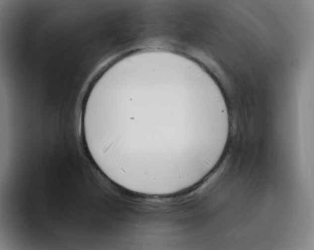 X0000094931224200712271546