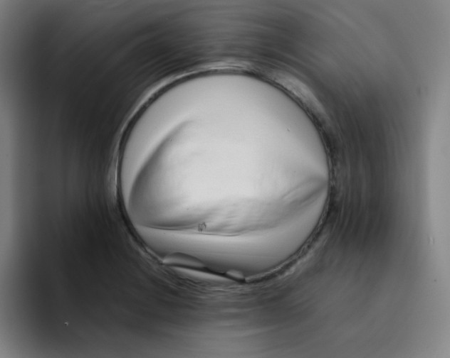 X0000094931228200712271546