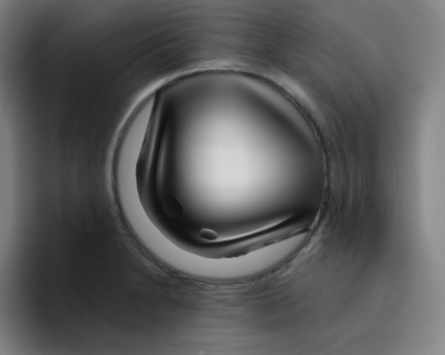X0000094931230200712271546