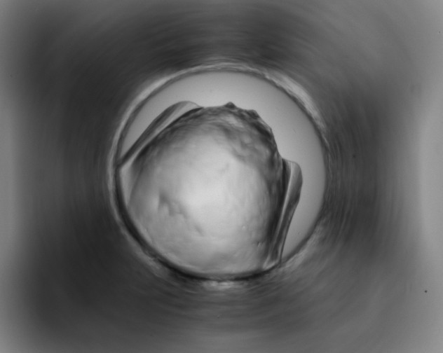 X0000094931231200712271546