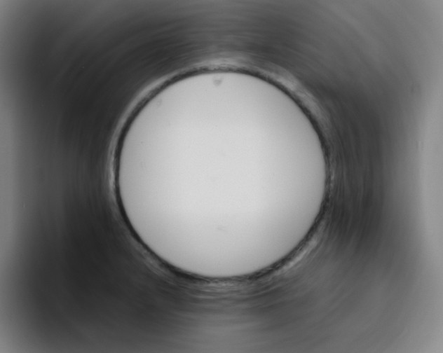X0000094931232200712271546