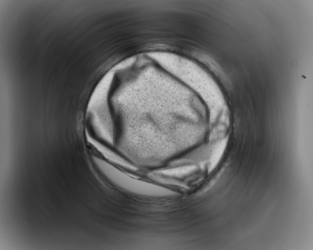 X0000094931233200712271546