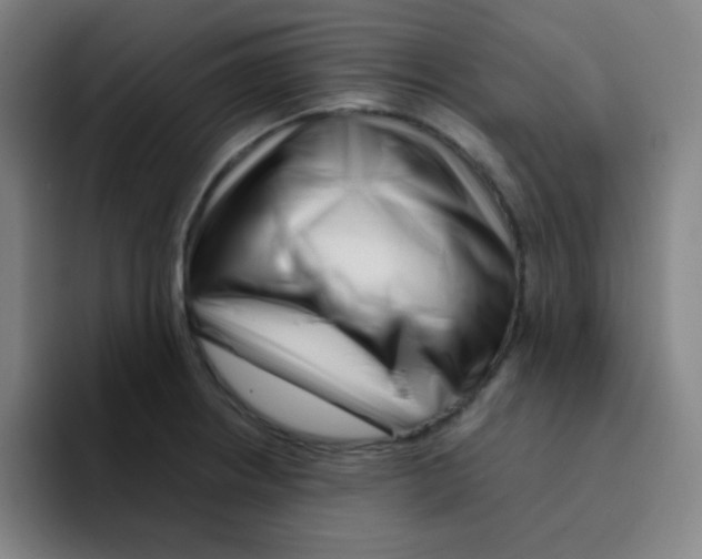 X0000094931234200712271546
