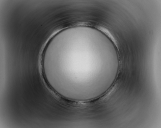 X0000094931235200712271546