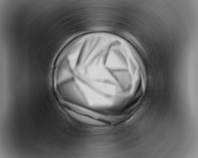 X0000094931236200712271546