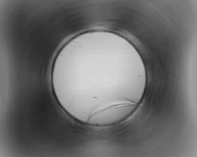 X0000094931240200712271546