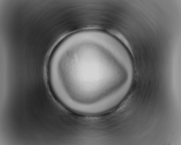 X0000094931243200712271546