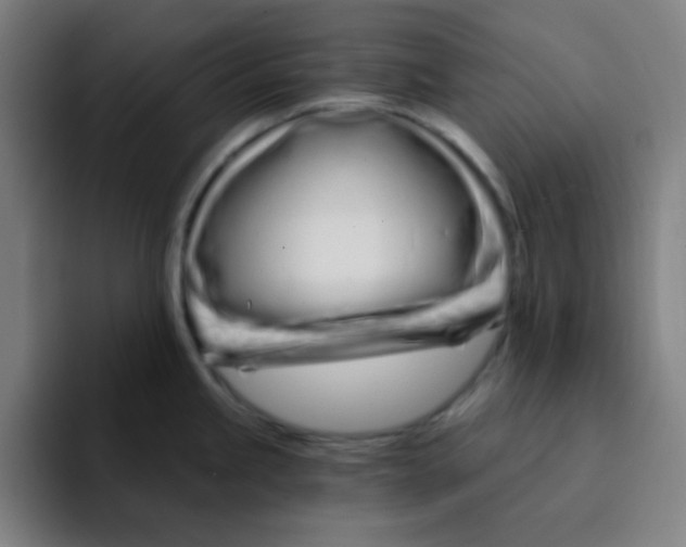 X0000094931245200712271546