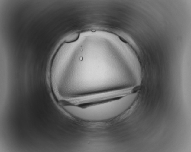 X0000094931247200712271546