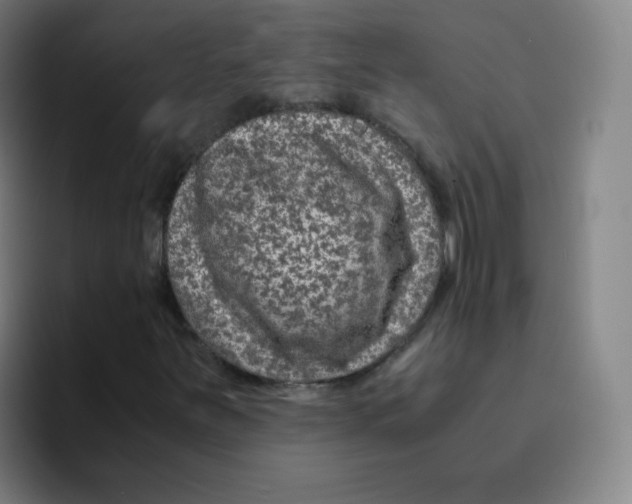 X0000094931251200712271546