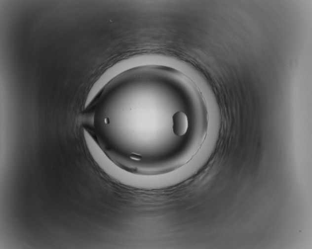 X0000094931252200712271546