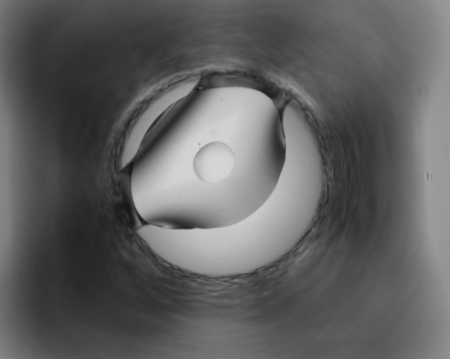 X0000094931256200712271546