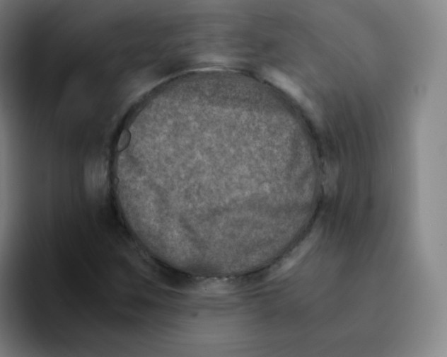 X0000094931259200712271545
