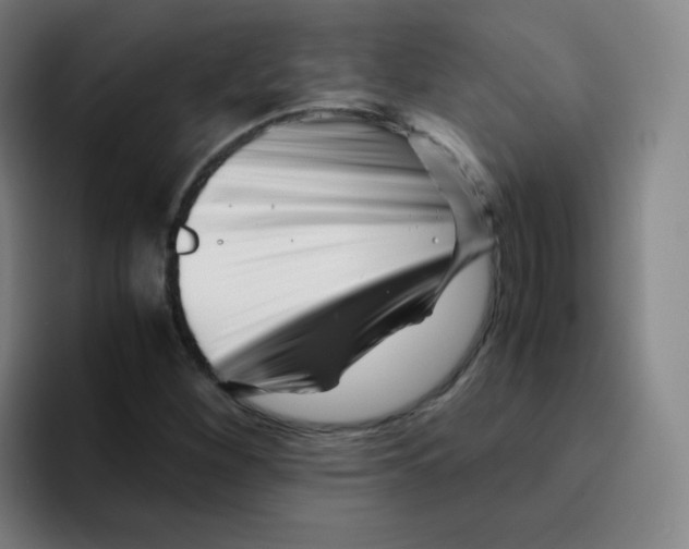 X0000094931260200712271545