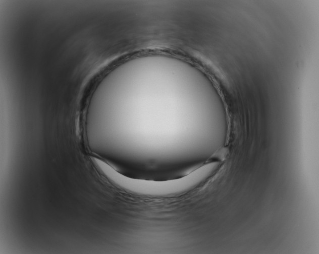 X0000094931262200712271545