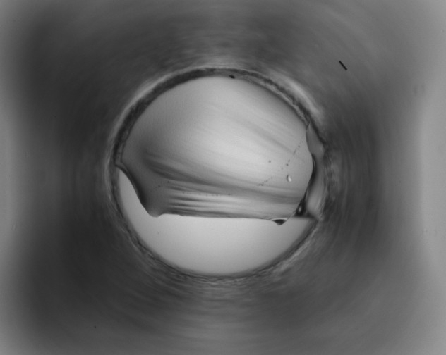 X0000094931264200712271545