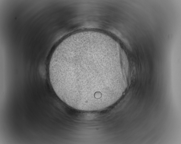 X0000094931266200712271545