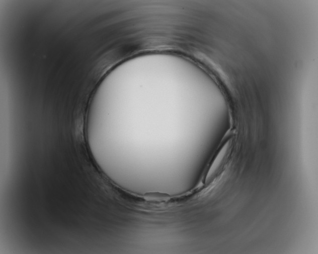 X0000094931273200712271545