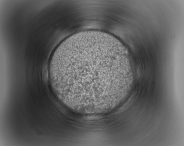 X0000094931274200712271545