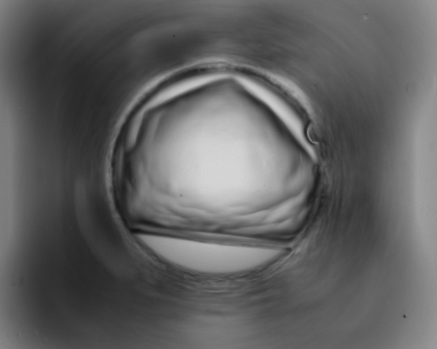 X0000094931279200712271545