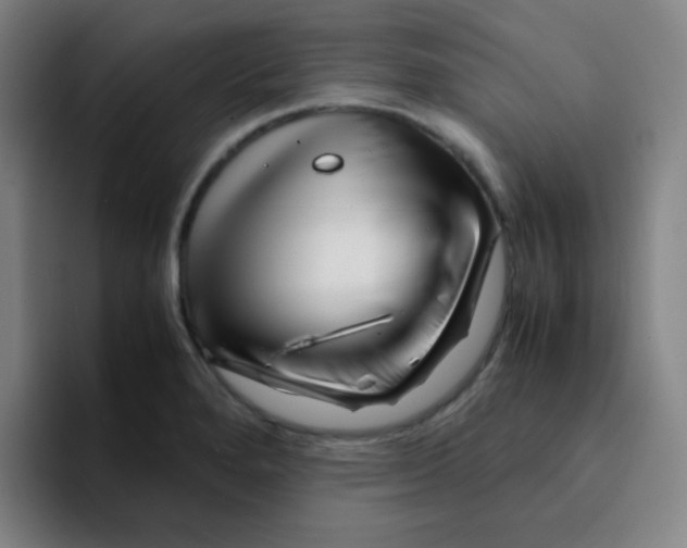 X0000094931280200712271545