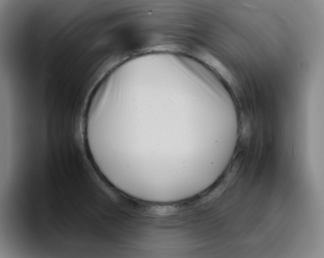 X0000094931282200712271545