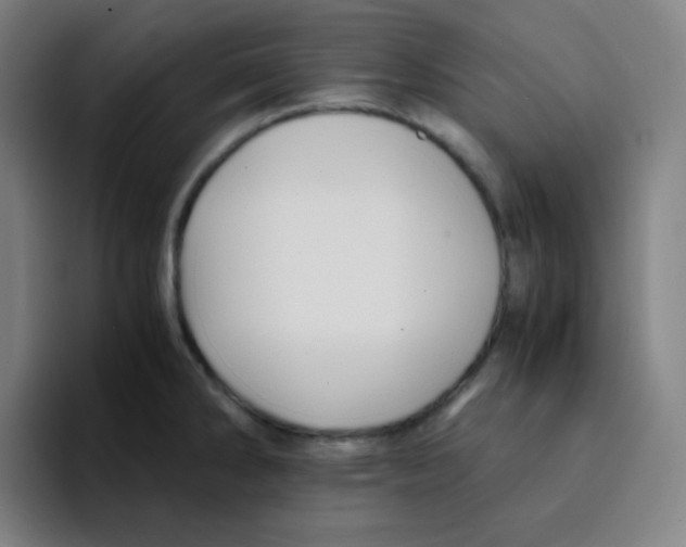 X0000094931286200712271545