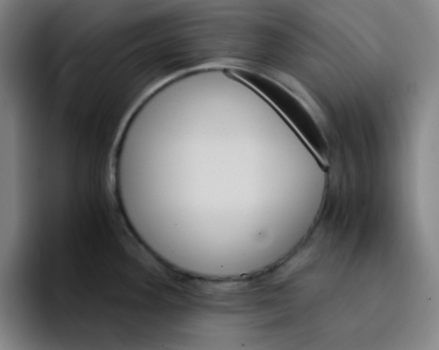 X0000094931292200712271545