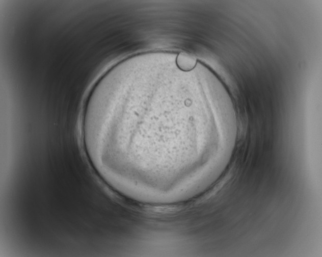 X0000094931294200712271545