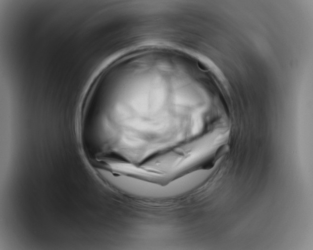 X0000094931295200712271545