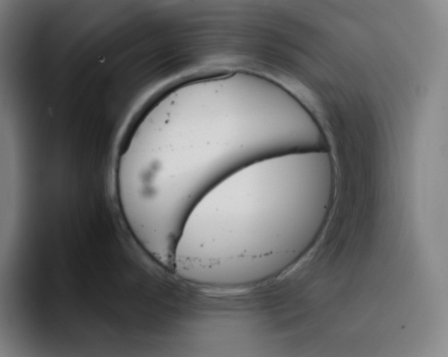 X0000094931296200712271545