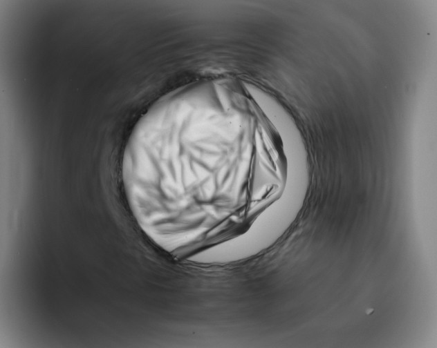 X0000094931297200712271544