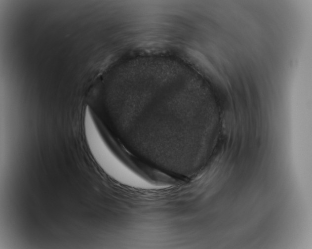 X0000094931298200712271544