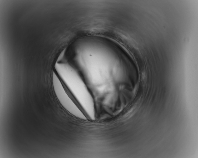 X0000094931300200712271544