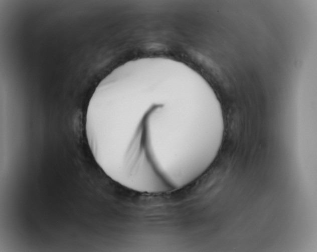 X0000094931301200712271544