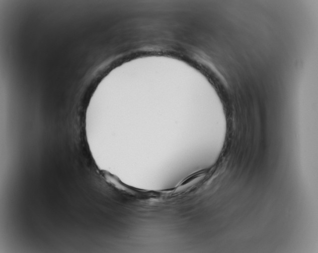 X0000094931304200712271544