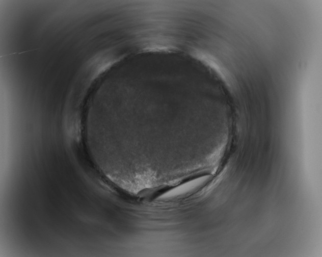 X0000094931306200712271545