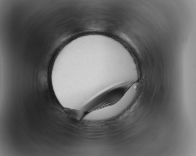 X0000094931307200712271545