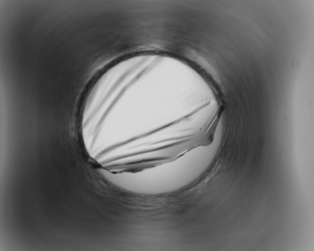 X0000094931308200712271545