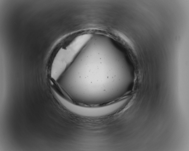 X0000094931310200712271545