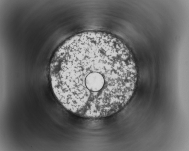 X0000094931314200712271545